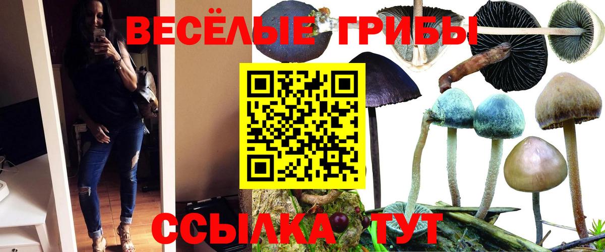 Псилоцибиновые грибы мухоморы Обь