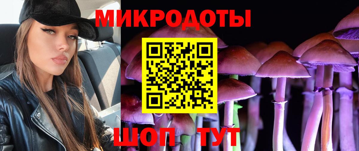 Обь  что такое   Галлюциногенные грибы Magic Shrooms  Вход с VPN  Галлюциногенные грибы Psilocybe 